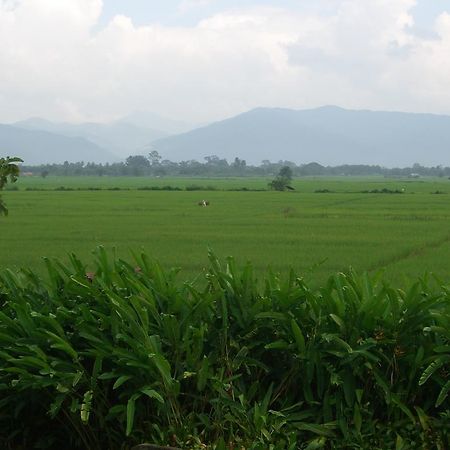Rico Resort Chiang Kham 외부 사진