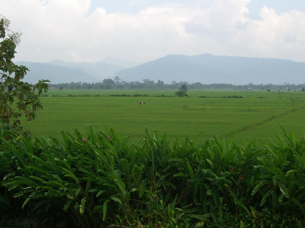Rico Resort Chiang Kham 외부 사진